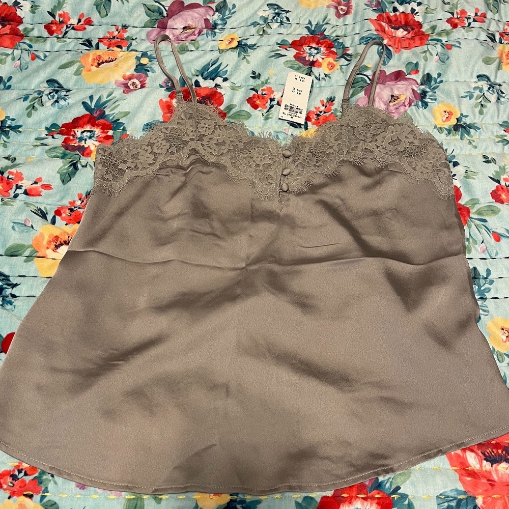 Abercrombie Lace silk cami (silver)